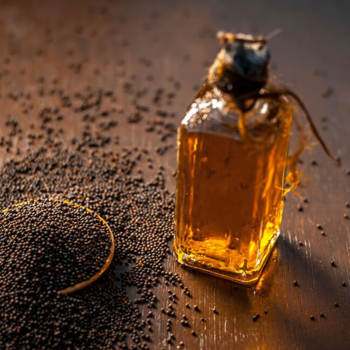 Black Mustard Seed / Oil