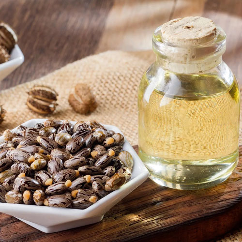 Castor Seed / Oil
