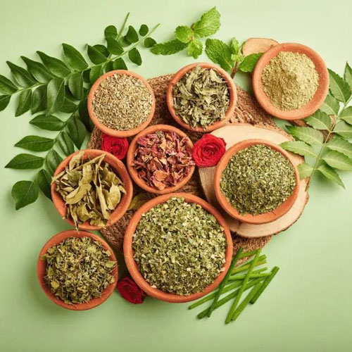 Herbs / Ayurvedic