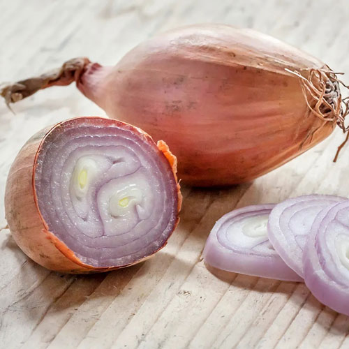Shallot