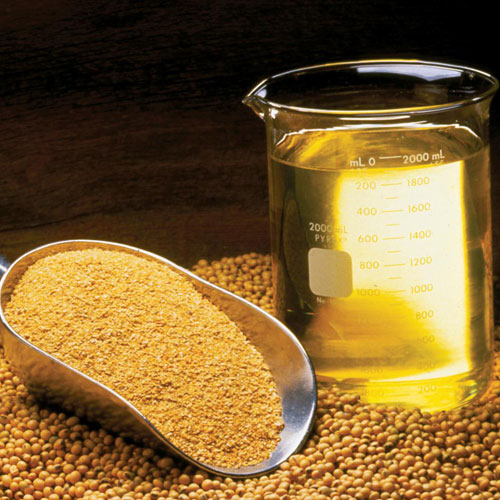 Soybean Meal